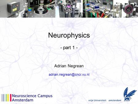 Neurophysics Adrian Negrean - part 1 -