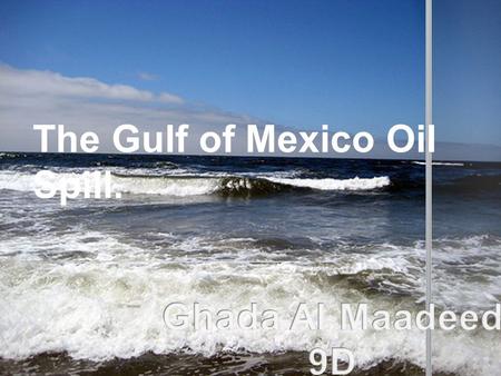 The Gulf of Mexico Oil Spill.. The 2010 Gulf of Mexico oil spill has been described as the worst environmental disaster in US history. On the 20th April,
