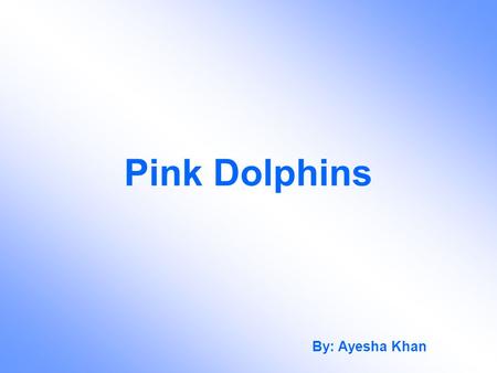 Pink Dolphins By: Ayesha Khan. Endangered Pink dolphins are endangered because there habitat is being destroyed. They mostly live in Hong Kong.