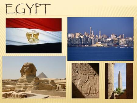  79 million people with 90% of population in urban areas such as Cairo, Alexandria and the Delta Nile  Main language is Egyptian Arabic  90% Population.