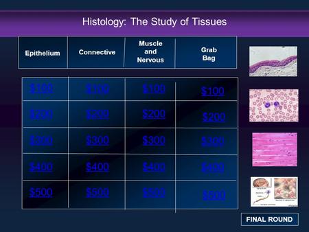 Histology: The Study of Tissues $100 $200 $300 $400 $500 $100 $200 $300 $400 $500 Epithelium Connective Muscle and Nervous Grab Bag FINAL ROUND.