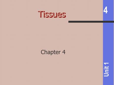4 Unit 1 Chapter 4. 4 Unit 1 groups of cells with common role 4 basic types: Epithelial Connective Muscular Nervous.