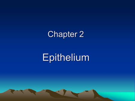 Chapter 2 Epithelium.