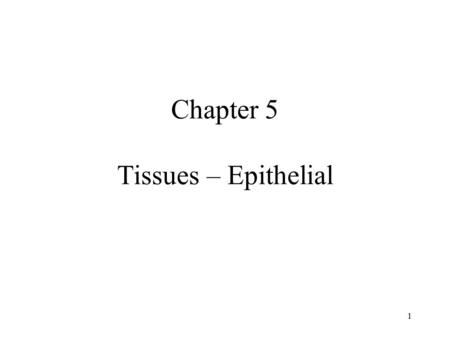 1 Chapter 5 Tissues – Epithelial. 2 Introduction Similar cells with a common function are called tissues. The study of tissues is called histology. There.