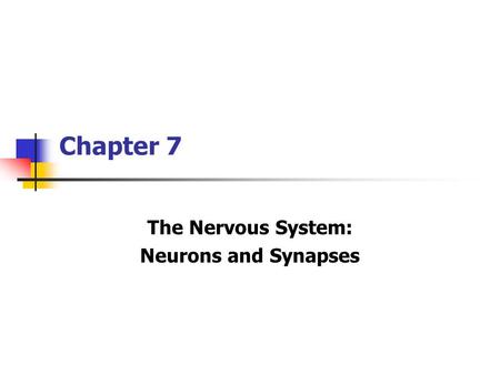 The Nervous System: Neurons and Synapses