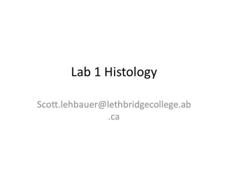 Lab 1 Histology Scott.lehbauer@lethbridgecollege.ab.ca.