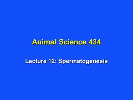 Lecture 12: Spermatogenesis