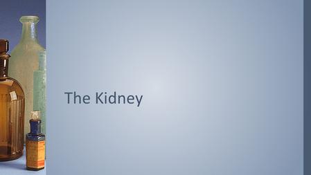 The Kidney.