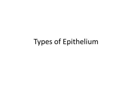Types of Epithelium. © 2013 Pearson Education, Inc. Classification of Epithelia All epithelial tissues have two names – One indicates number of cell layers.