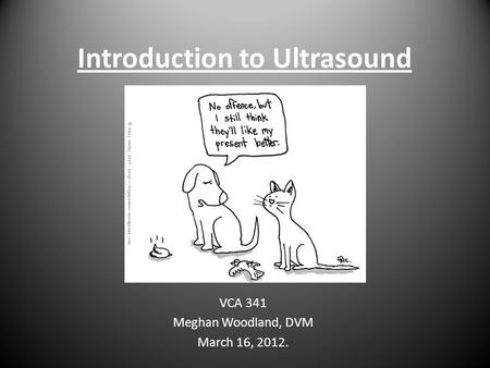 Introduction to Ultrasound VCA 341 Meghan Woodland, DVM March 16, 2012.