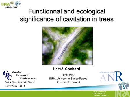 Functionnal and ecological significance of cavitation in trees UMR PIAF INRA-Université Blaise Pascal Clermont-Ferrand Louuvain, 7-02-2013 Hervé Cochard.
