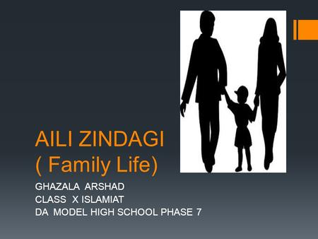 AILI ZINDAGI ( Family Life)