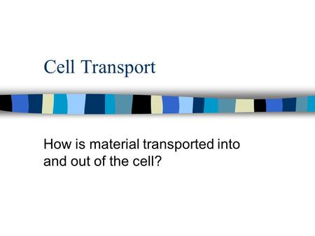 How is material transported into and out of the cell?