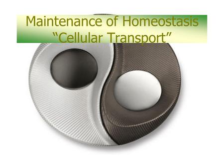 Maintenance of Homeostasis “Cellular Transport”. Homeostasis is… A biological balance.
