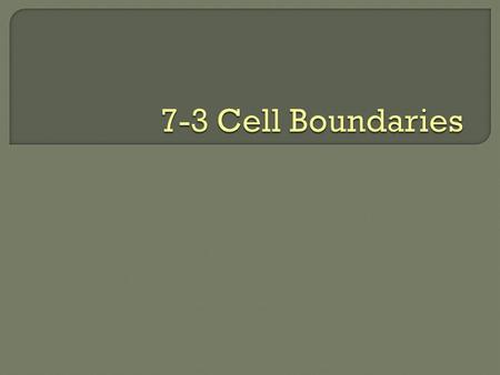 7-3 Cell Boundaries.