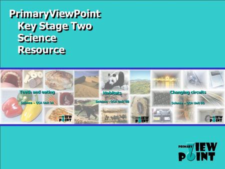 PrimaryViewPoint Key Stage Two Science Resource. Types of food MeatMeatFatsFats Starches and sugars FruitFruitVegetablesVegetables FishFish Taken from.