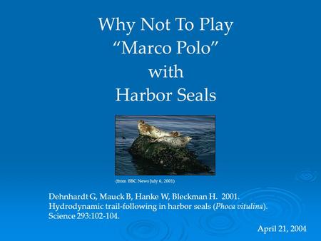 Why Not To Play “Marco Polo” with Harbor Seals Dehnhardt G, Mauck B, Hanke W, Bleckman H. 2001. Hydrodynamic trail-following in harbor seals (Phoca vitulina).