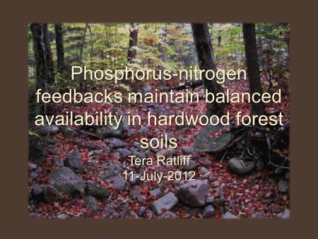 Phosphorus-nitrogen feedbacks maintain balanced availability in hardwood forest soils Tera Ratliff 11-July-2012.