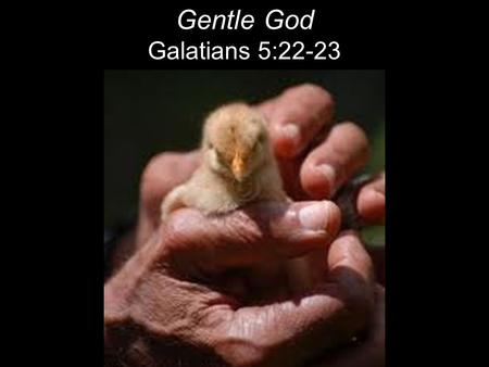 Gentle God Galatians 5:22-23. Yet to all who received him, to those who believed in his name, he gave the right to become children of God—children.