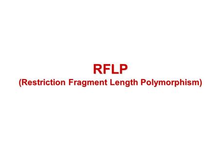 RFLP (Restriction Fragment Length Polymorphism). RFLP RFLP was developed at the late 70’s due to the discovery of restriction enzymes (REs; or called.