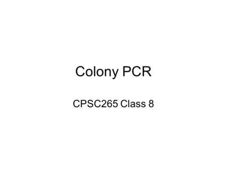 Colony PCR CPSC265 Class 8. Cloning Cloning is the way in which we can take a single molecule, and make lots of bacterial cells that contain an identical.