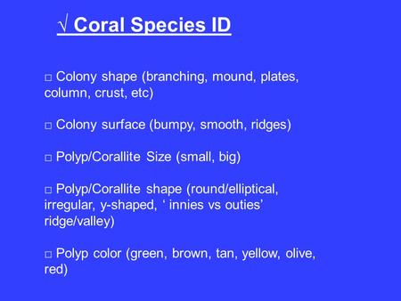 √ Coral Species ID □ Colony shape (branching, mound, plates, column, crust, etc) □ Colony surface (bumpy, smooth, ridges) □ Polyp/Corallite Size (small,