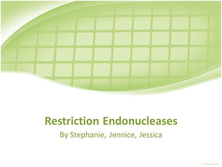 Restriction Endonucleases By Stephanie, Jennice, Jessica.