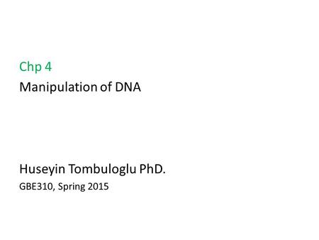 Chp 4 Manipulation of DNA Huseyin Tombuloglu PhD. GBE310, Spring 2015.