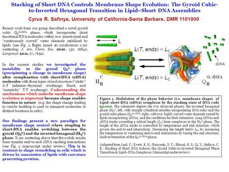 Stacking of Short DNA Controls Membrane Shape Evolution: The Gyroid Cubic- to-Inverted Hexagonal Transition in Lipid–Short DNA Assemblies Cyrus R. Safinya,