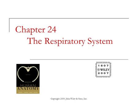 Chapter 24 The Respiratory System