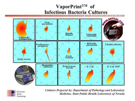 Electronic Sensor Technology WWW.ESTCAL.COM1 VaporPrint TM of Infectious Bacteria Cultures Salmonella typhimurium Strep pneumonia Shigella flexneri Salmonella.