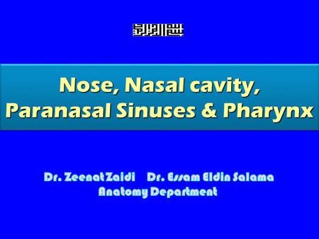 Nose, Nasal cavity, Paranasal Sinuses & Pharynx