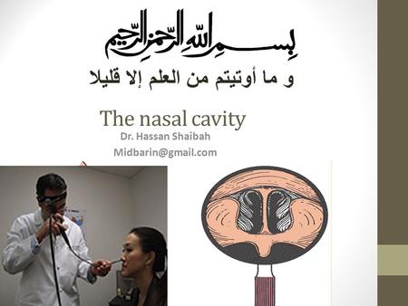 Dr. Hassan Shaibah Midbarin@gmail.com و ما أوتيتم من العلم إلا قليلا The nasal cavity Dr. Hassan Shaibah Midbarin@gmail.com.