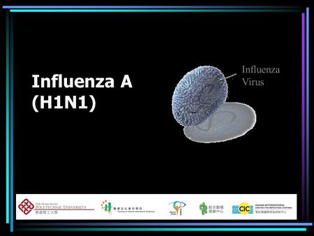 Influenza A (H1N1) Influenza Virus. Hong Kong tracks swine flu suspects Source: MSN news.