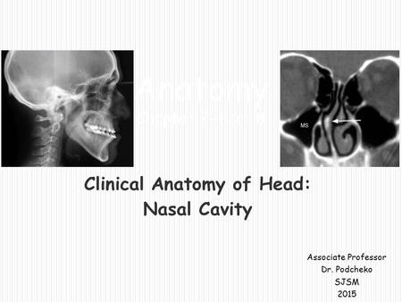 Clinical Anatomy of Head: Nasal Cavity