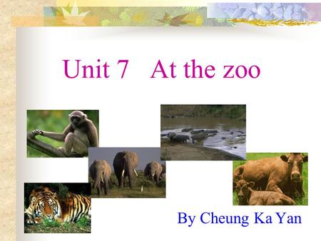 Unit 7 At the zoo By Cheung Ka Yan A tail A monkey has a long tail. a long tail.