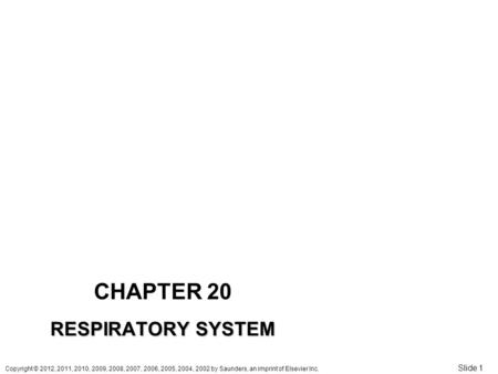 Copyright © 2012, 2011, 2010, 2009, 2008, 2007, 2006, 2005, 2004, 2002 by Saunders, an imprint of Elsevier Inc. Slide 1 CHAPTER 20 RESPIRATORY SYSTEM.