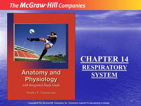 1 Copyright © The McGraw-Hill Companies, Inc. Permission required for reproduction or display. CHAPTER 14 RESPIRATORY SYSTEM.