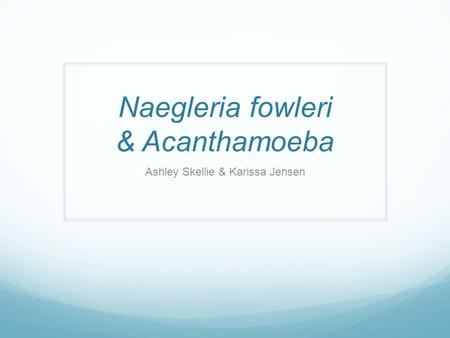Naegleria fowleri & Acanthamoeba