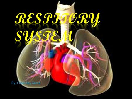 By: Chastday Garza. What the Respiratory system does  It's purpose is to bring oxygen into your body  It helps your body get rid of that carbon dioxide.