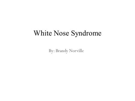 By: Brandy Norville White Nose Syndrome. What is White Nose Syndrome? It was first documented in the winter of 2006 – 2007 in New York. It is named after.