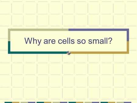 Why are cells so small?.