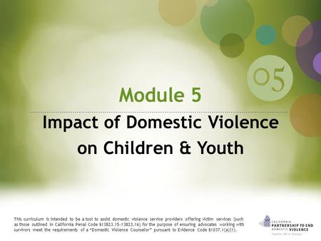 Module 5 Impact of Domestic Violence on Children & Youth This curriculum is intended to be a tool to assist domestic violence service providers offering.