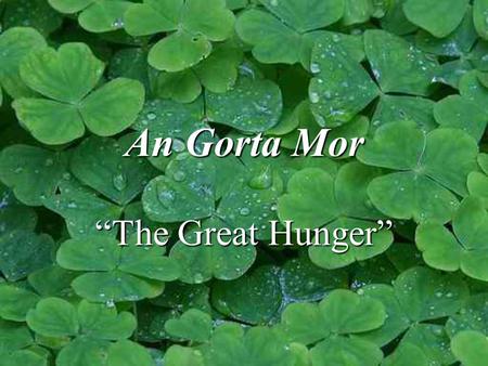 An Gorta Mor “The Great Hunger”. Ireland The Emerald Isle.