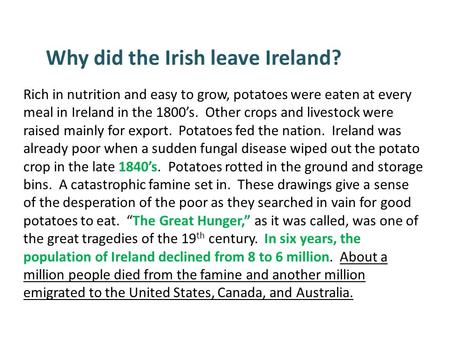 Rich in nutrition and easy to grow, potatoes were eaten at every meal in Ireland in the 1800’s. Other crops and livestock were raised mainly for export.