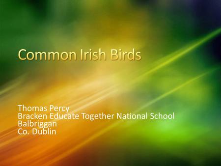 Thomas Percy Bracken Educate Together National School Balbriggan Co. Dublin.