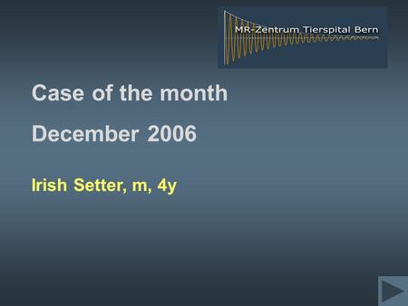 Case of the month December 2006 Irish Setter, m, 4y.