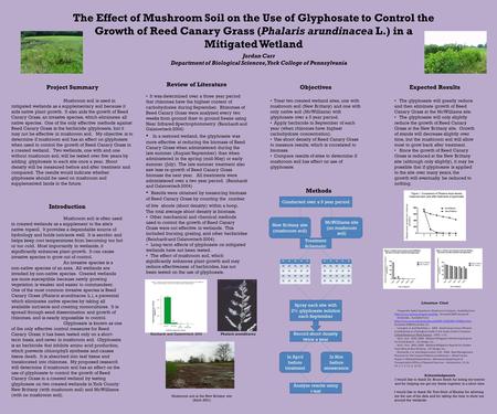 The Effect of Mushroom Soil on the Use of Glyphosate to Control the Growth of Reed Canary Grass (Phalaris arundinacea L.) in a Mitigated Wetland Introduction.
