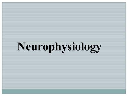 Neurophysiology.