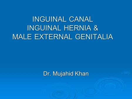 INGUINAL CANAL INGUINAL HERNIA & MALE EXTERNAL GENITALIA